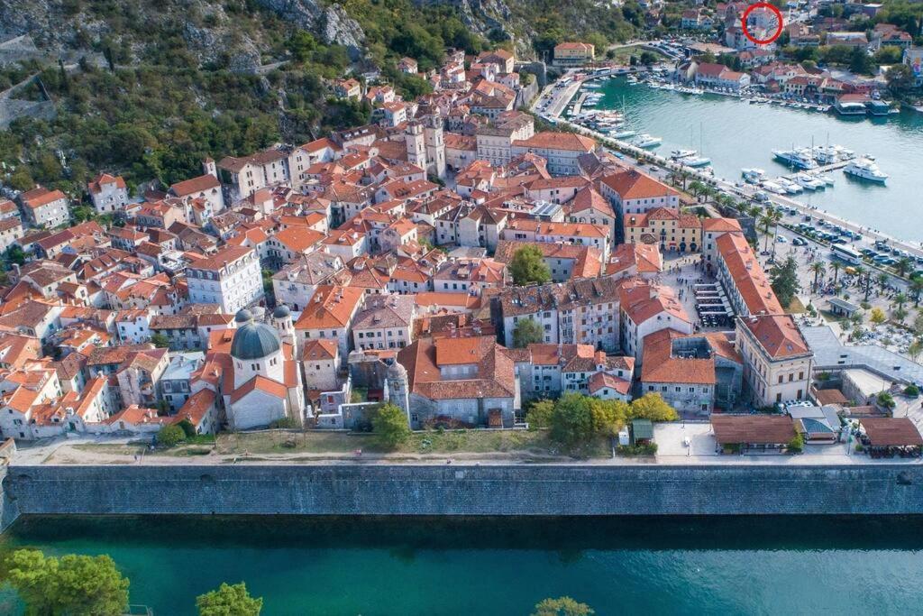 Stylish 22 * Kotor